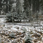 Review photo of Iron Springs Campground by Frank  M., October 13, 2021