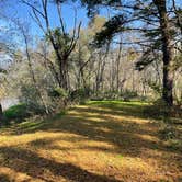 Review photo of Black River Falls State Forest Canoe Campsite Near Hawk Island by Brian O., October 13, 2021