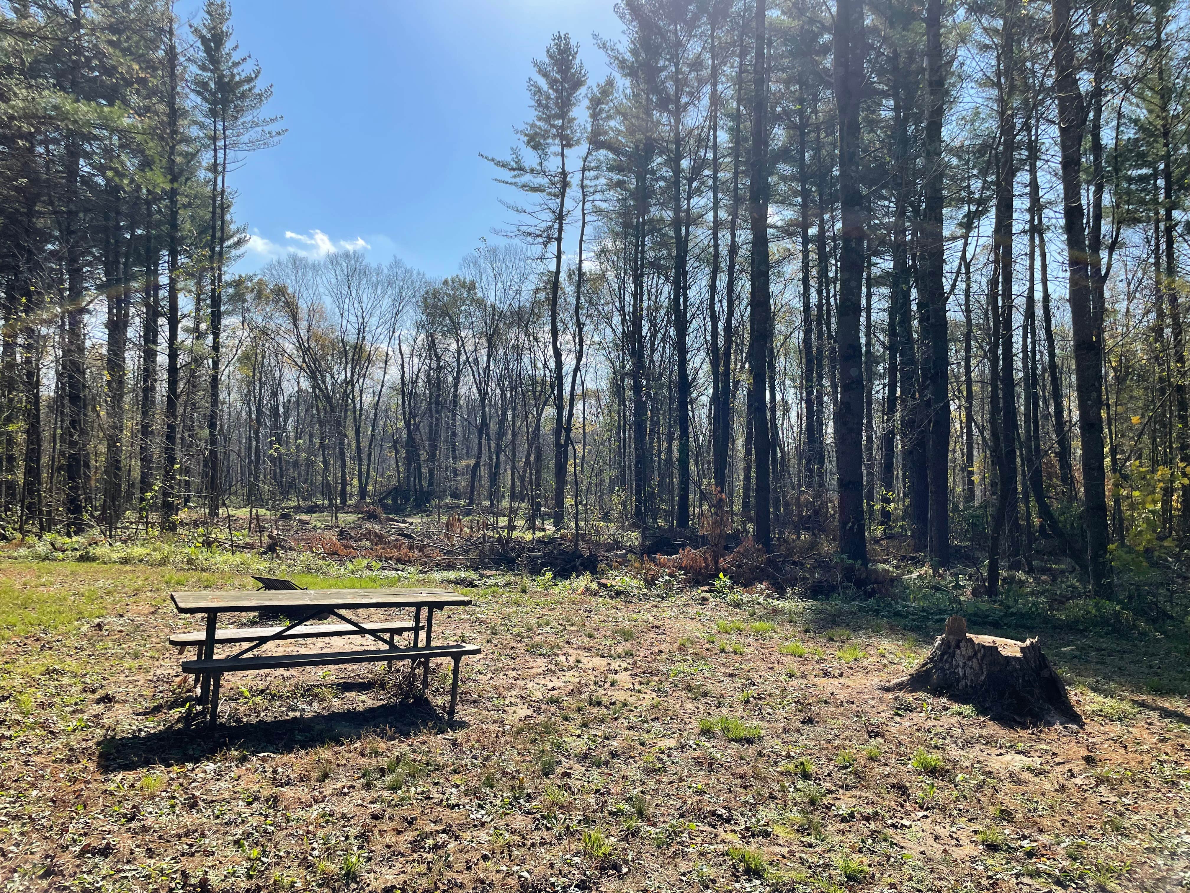 Camper-submitted photo at Canoe Campsite Near Hawk Island — Black River State Forest near Humbird, WI