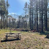 Review photo of Black River Falls State Forest Canoe Campsite Near Hawk Island by Brian O., October 13, 2021