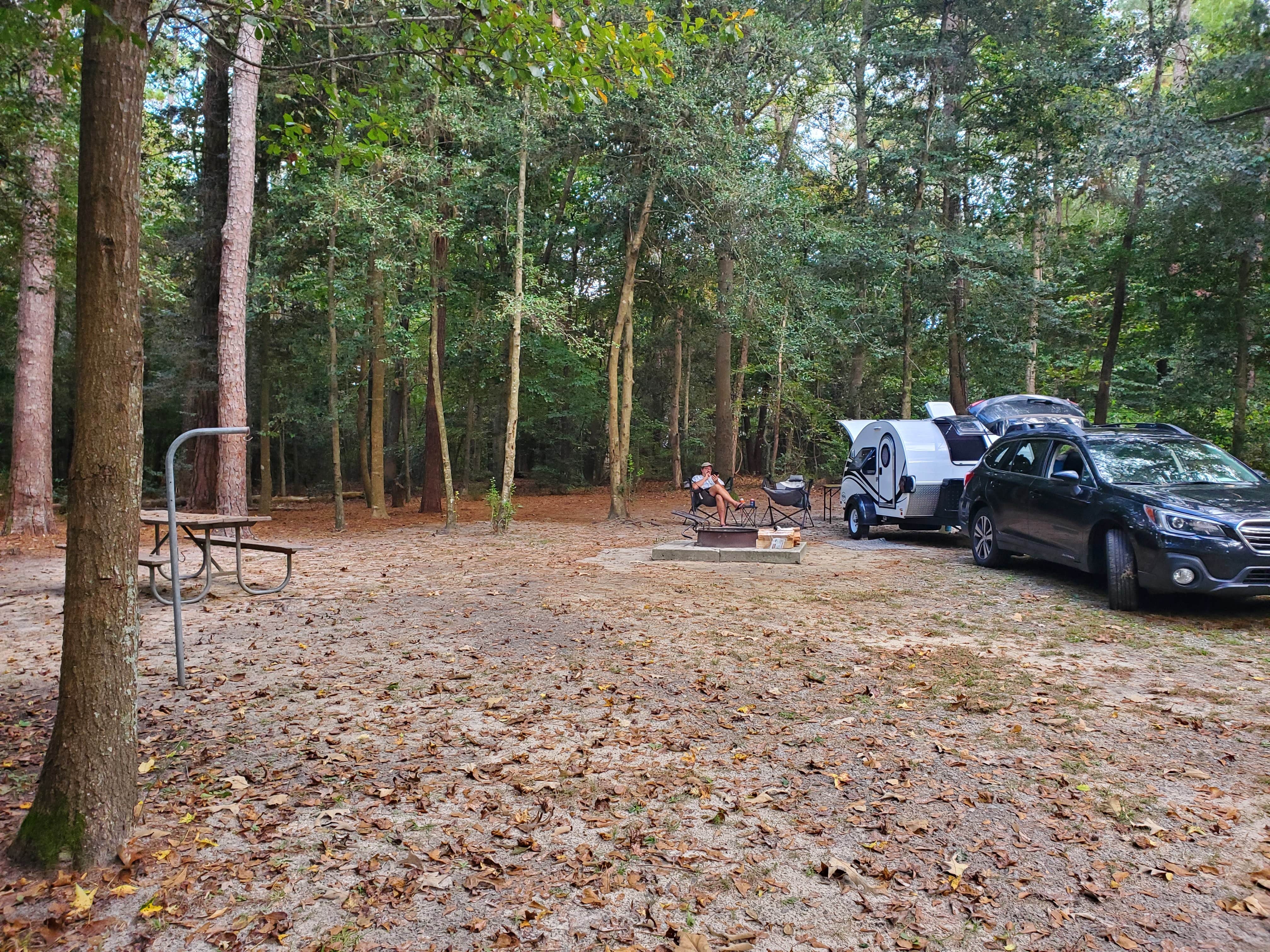 Laura E.'s photo at Cliffs of the Neuse State Park Campground near Smithfield, NC