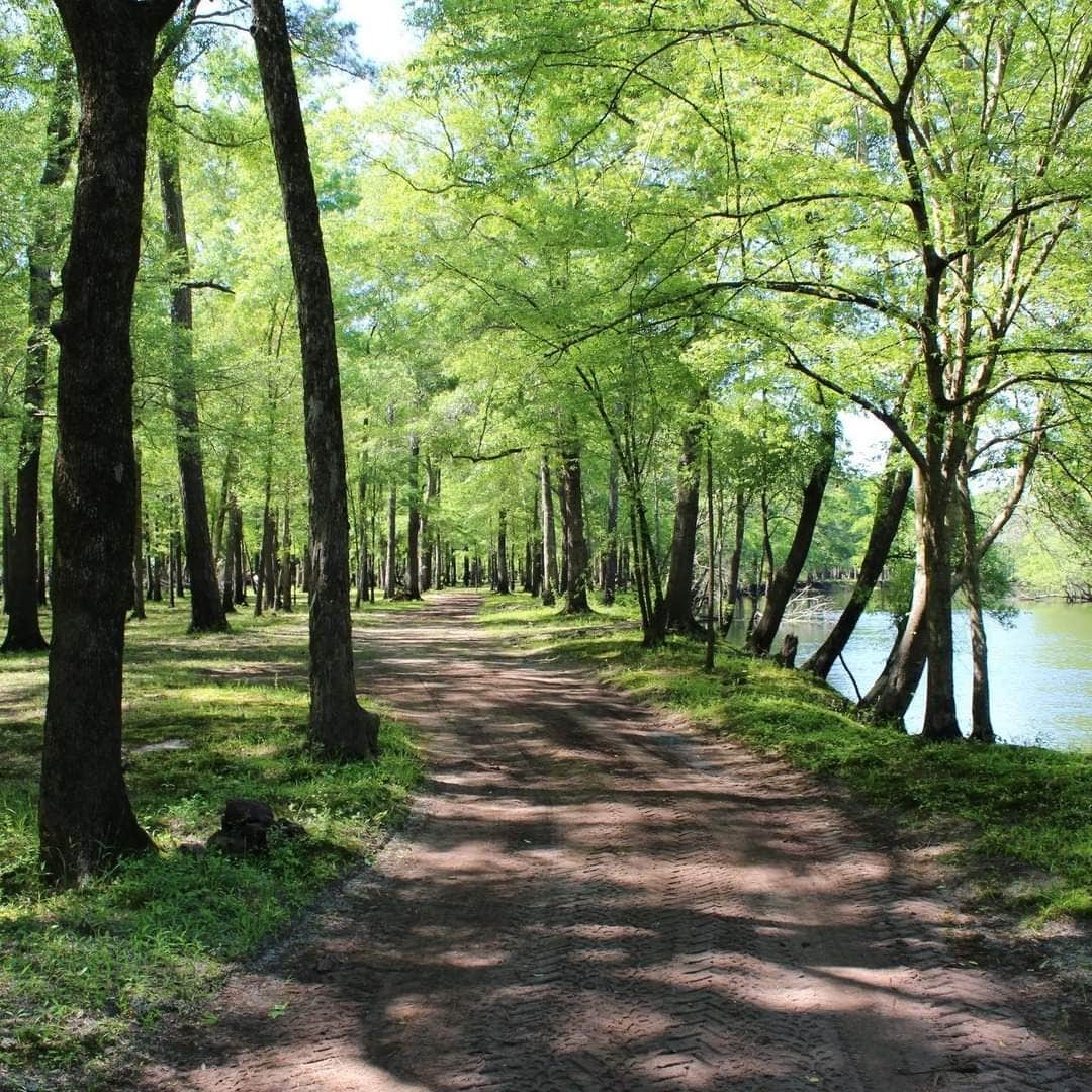 Camper-submitted photo at Black River Camping Ventures near Burgaw, NC