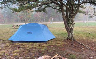 Emma T.'s photo at Ace Adventure Resort near Danese, WV