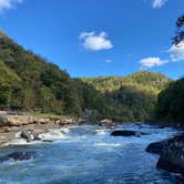 Review photo of Ace Adventure Resort by Emma T., October 13, 2021