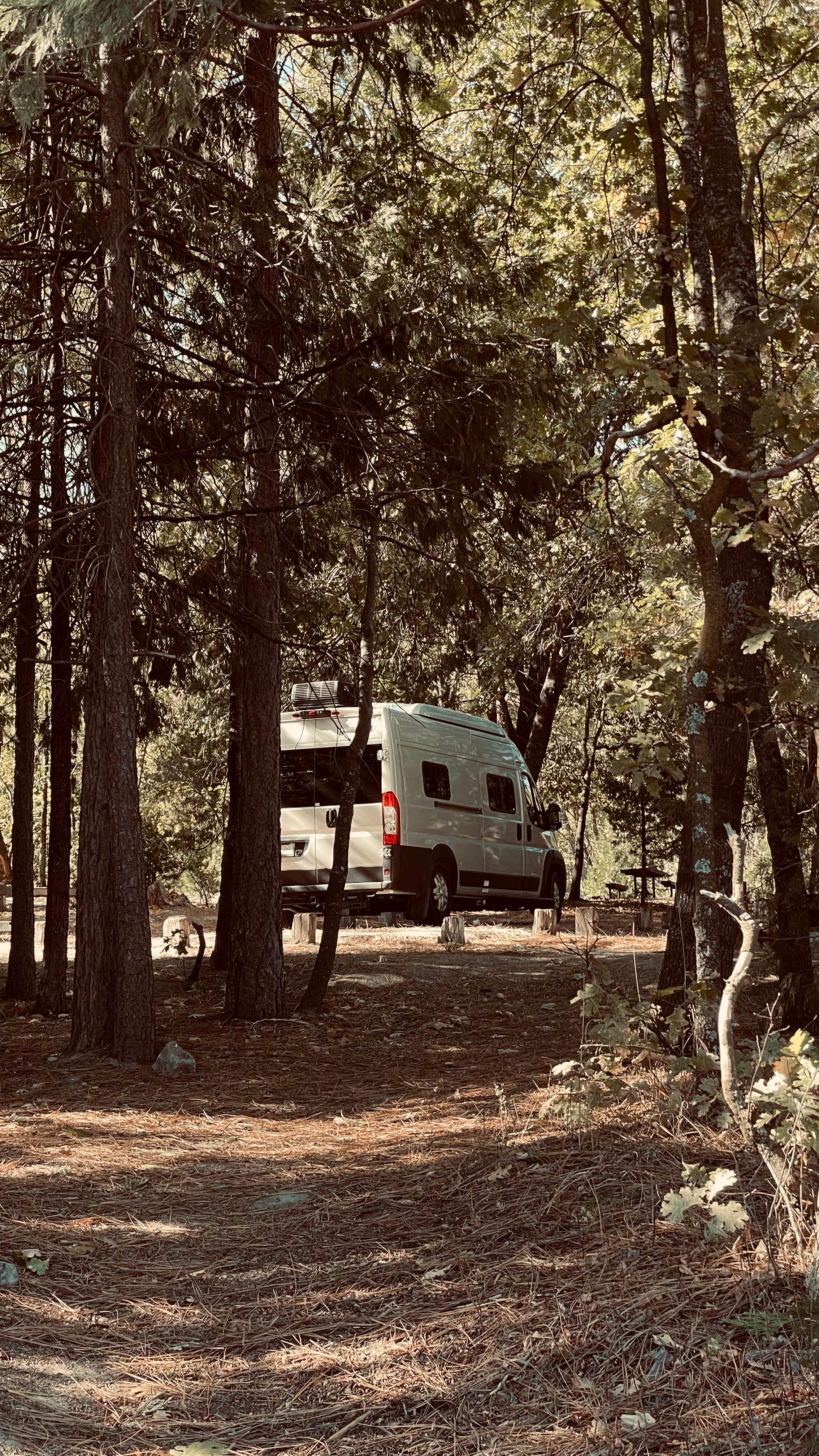 Camper submitted image from Lupine - 4