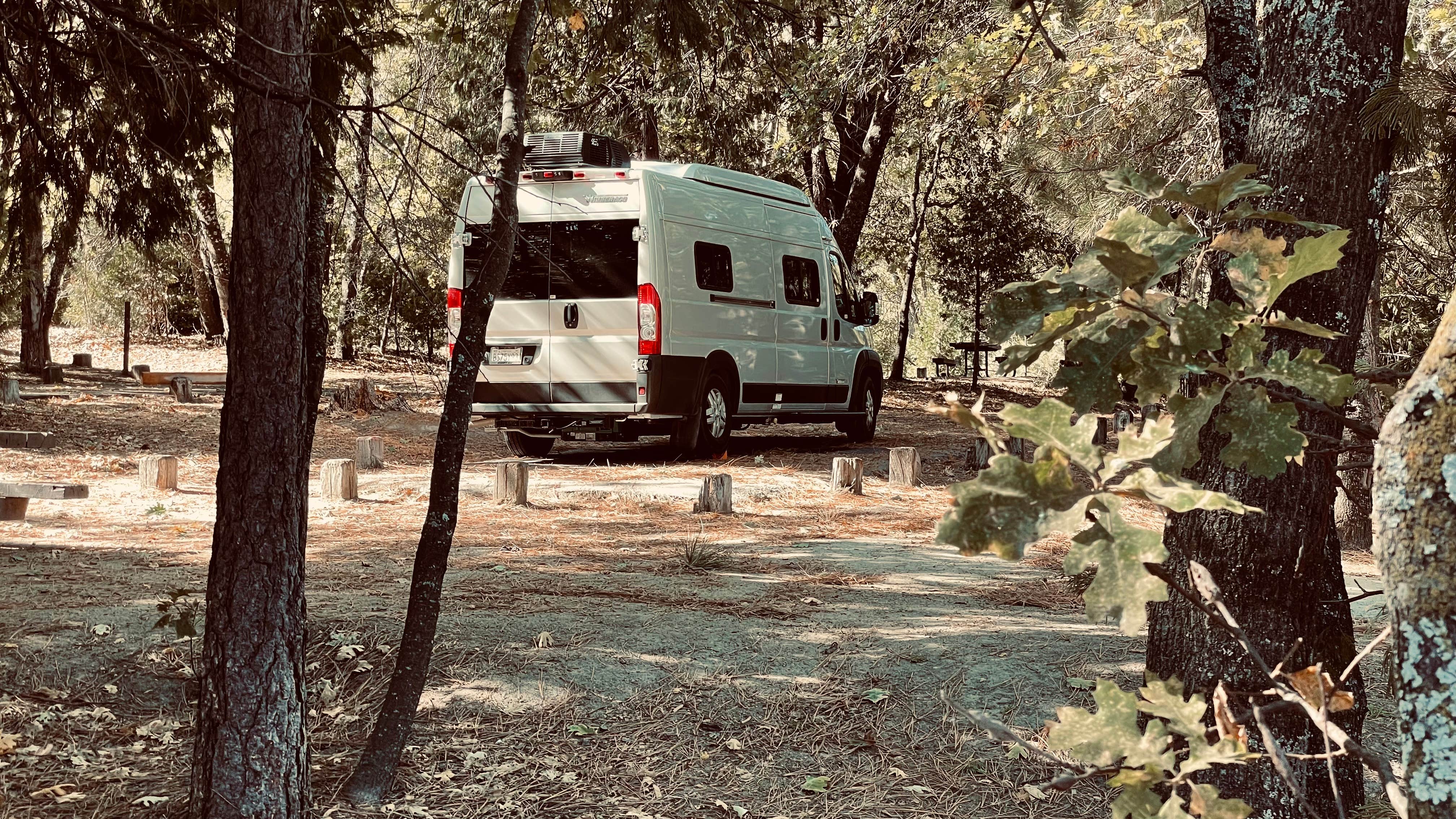 Camper submitted image from Lupine - 3