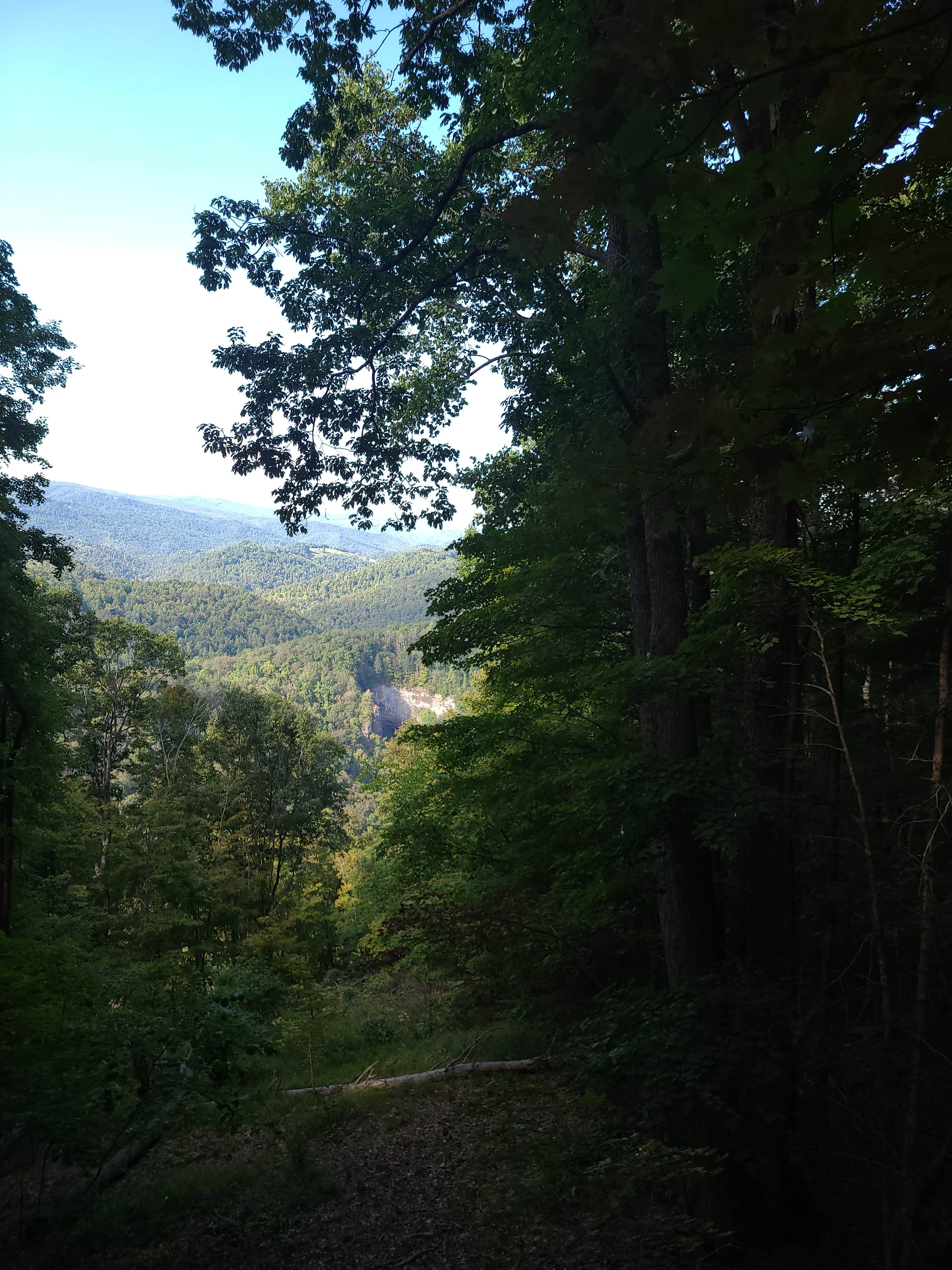 Camper submitted image from Cove View Campground — Natural Tunnel State Park - 2