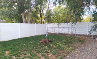 carri's photo of camping with pets at Monument RV Park near Fruita, CO
