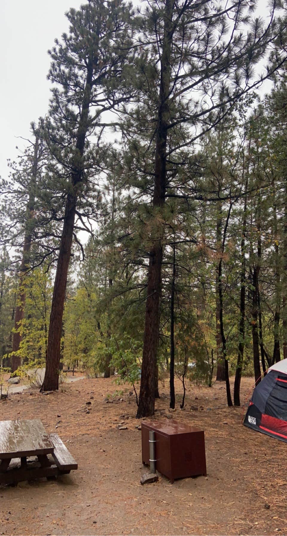 Lily K.'s photo at Pineknot near Big Bear Lake, CA