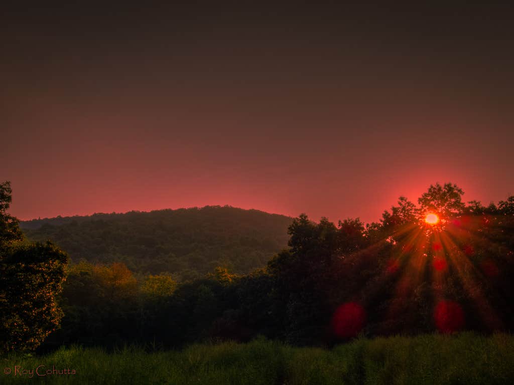 Roy B.'s photo of a dispersed camping area at Ball Field Dispersed Camping Area near Farner, TN