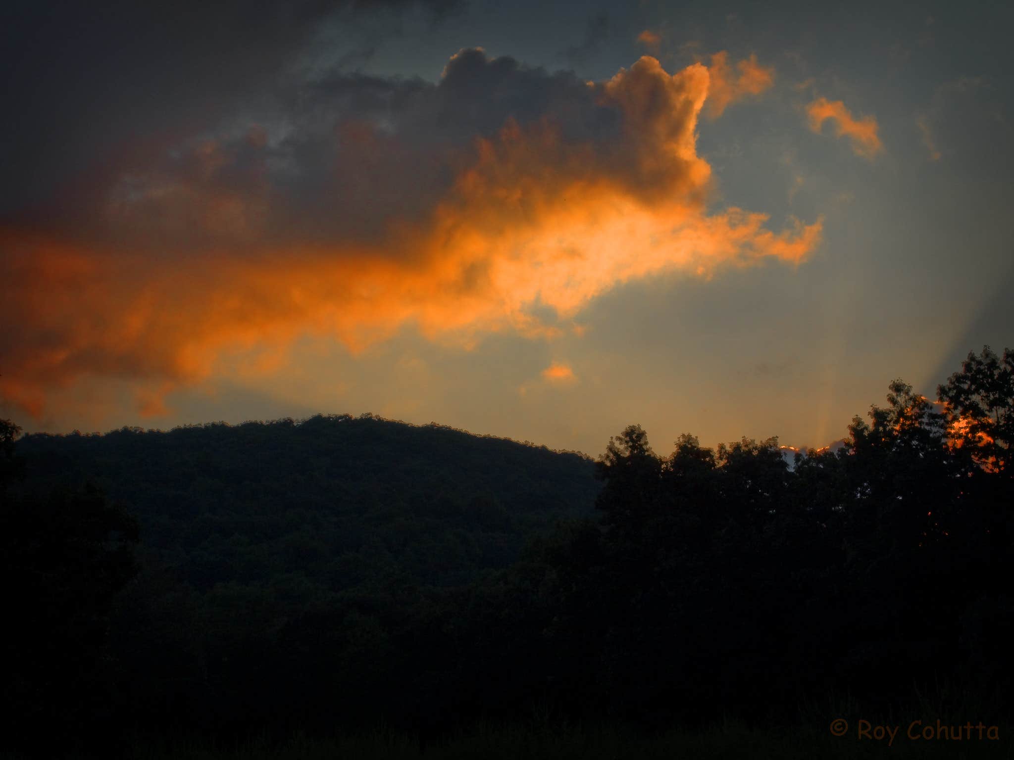 Roy B.'s photo of a dispersed camping area at Ball Field Dispersed Camping Area near McCaysville, GA