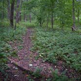 Review photo of Ball Field Dispersed Camping Area by Roy B., October 13, 2021