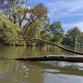 Review photo of Tuckahoe State Park Campground by Robin , October 13, 2021