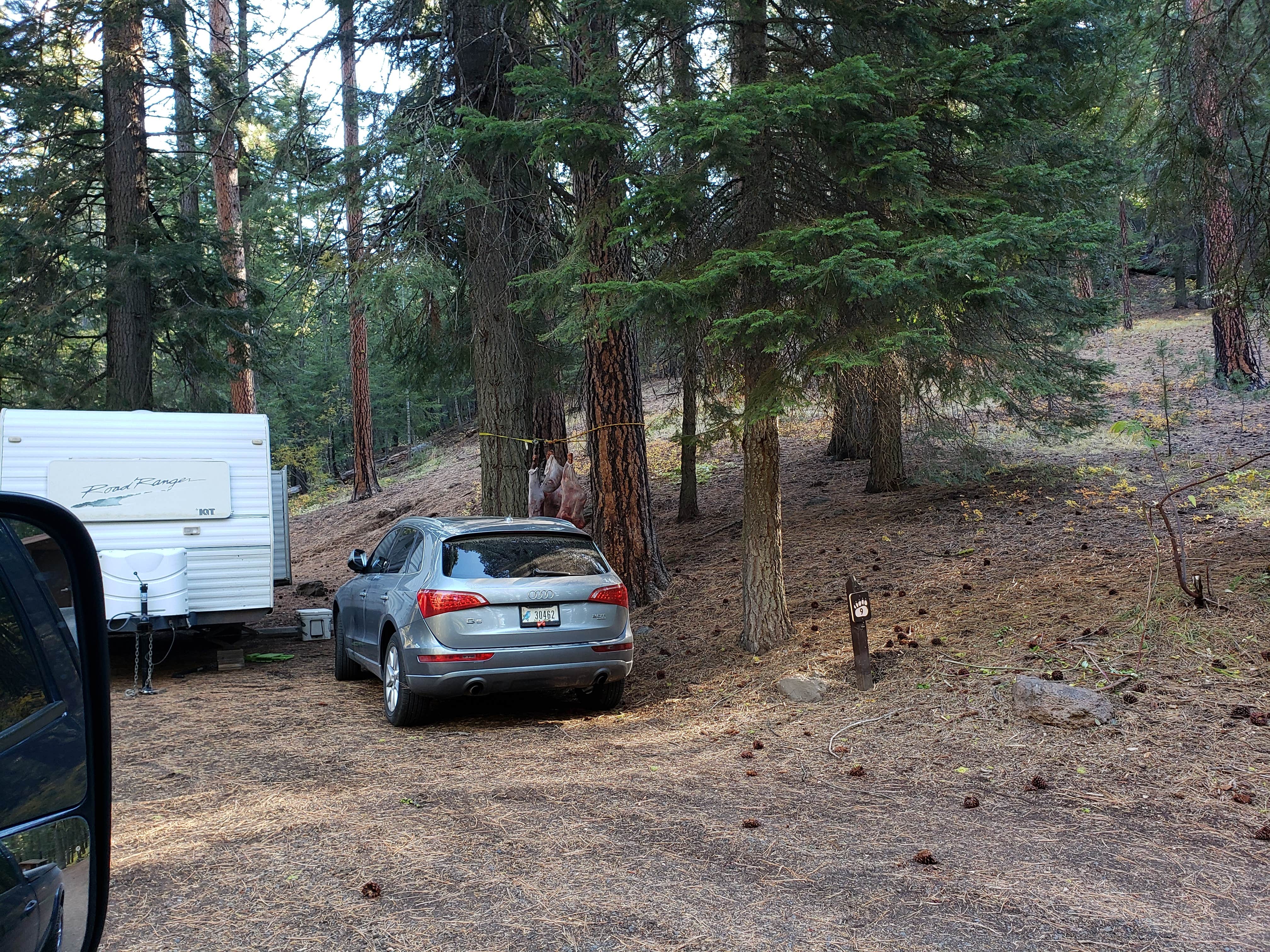Camper submitted image from Spring Creek Campground - 4