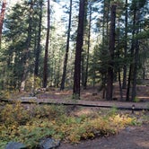 Review photo of Spring Creek Campground by Mike E., October 13, 2021