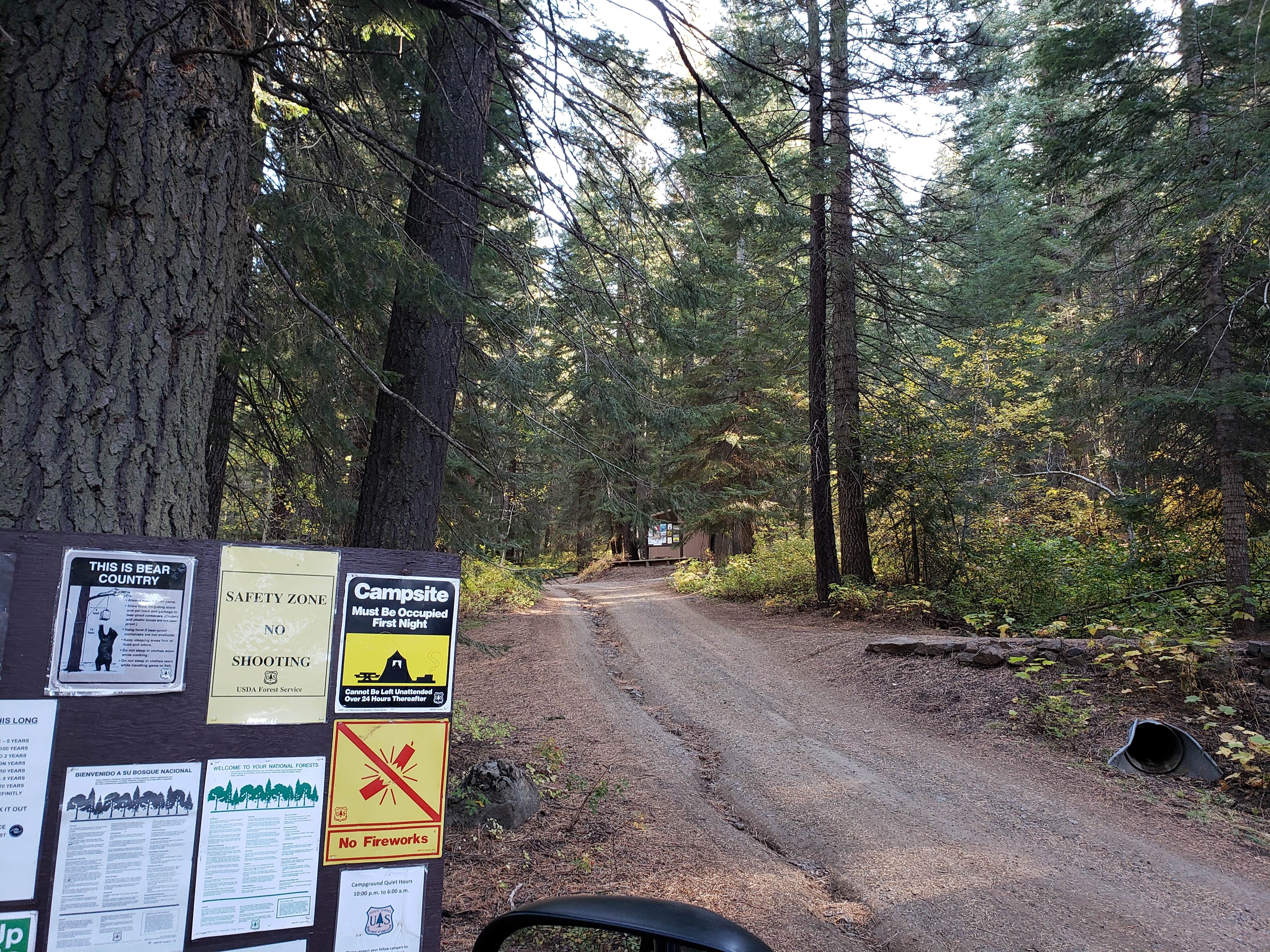 Camper submitted image from Spring Creek Campground - 5
