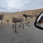 Review photo of Wildrose - Death Valley National Park by Mike C., October 13, 2021