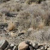 Review photo of Wildrose - Death Valley National Park by Mike C., October 13, 2021