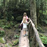 Review photo of Cosby Campground — Great Smoky Mountains National Park by Rachel K., October 13, 2021