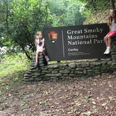 Review photo of Cosby Campground — Great Smoky Mountains National Park by Rachel K., October 13, 2021
