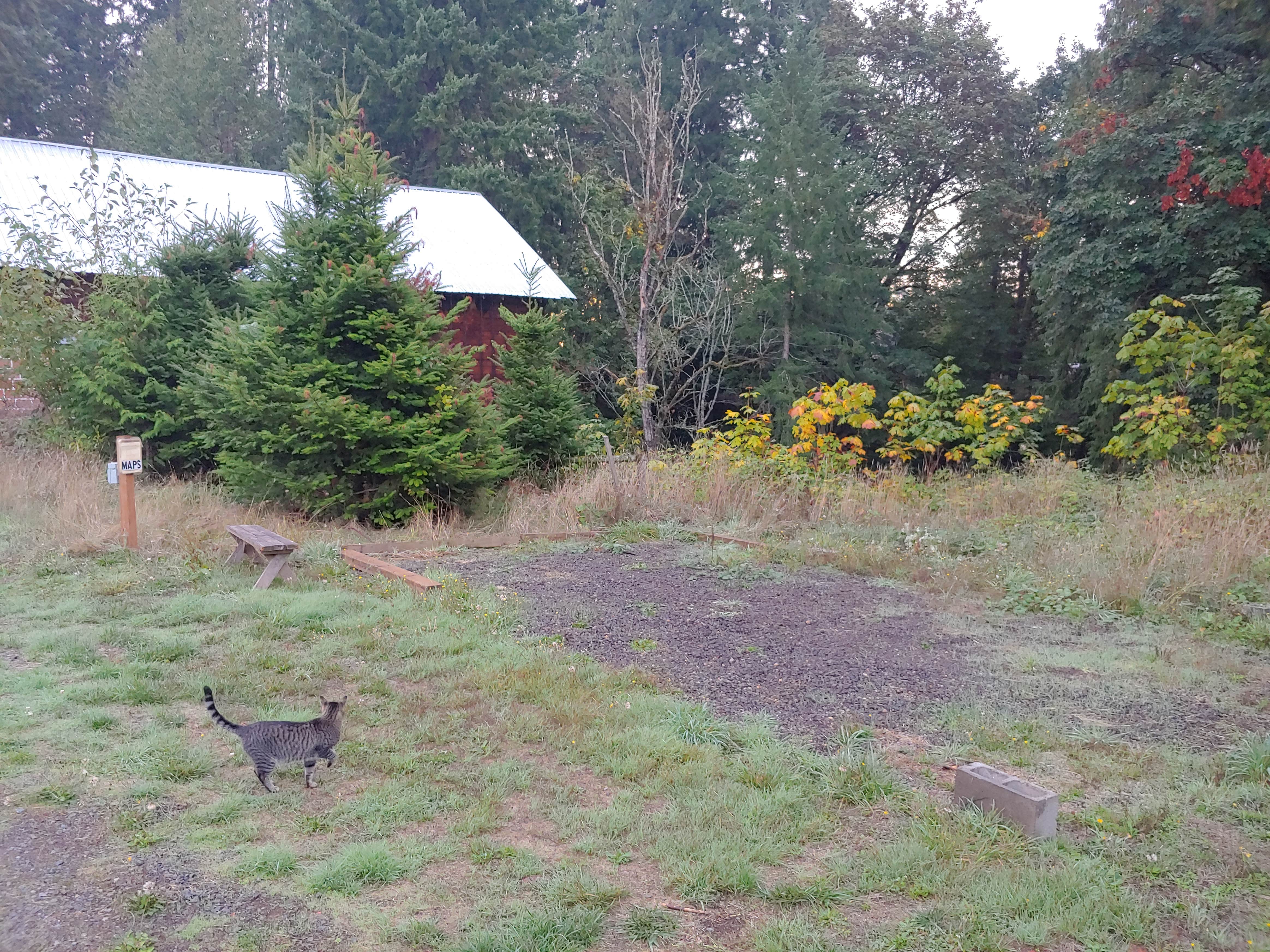 Kiwi Creek Campground