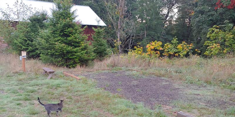 Camper submitted image from Kiwi Creek Campground