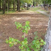 Review photo of Piney Grove Campground by Robyn  T., October 14, 2021