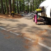 Review photo of Piney Grove Campground by Robyn  T., October 14, 2021