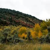 Review photo of Rifle Falls State Park Campground by Glenna L., October 14, 2021