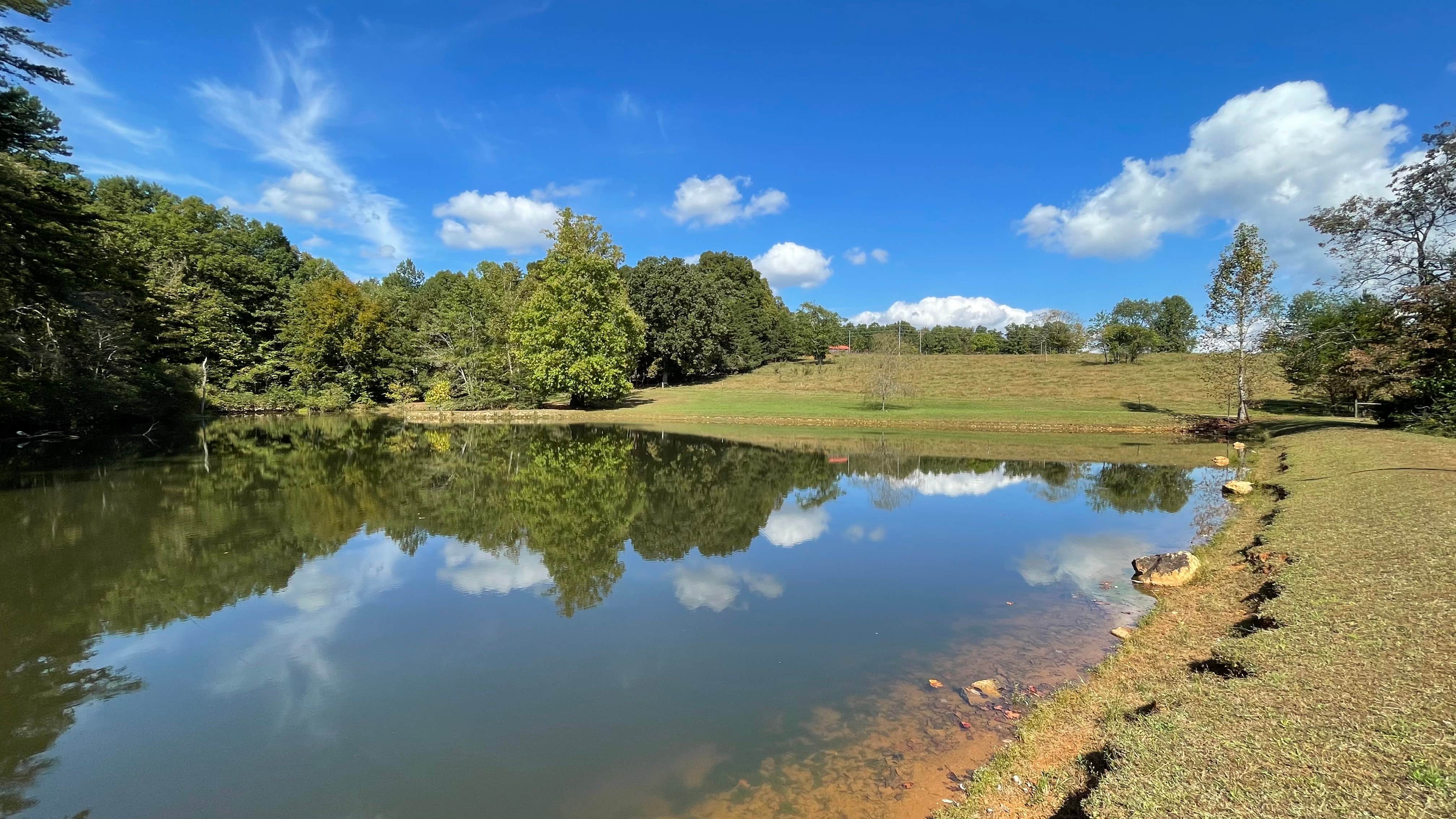 Camper submitted image from Beechnut Family Campground - 4