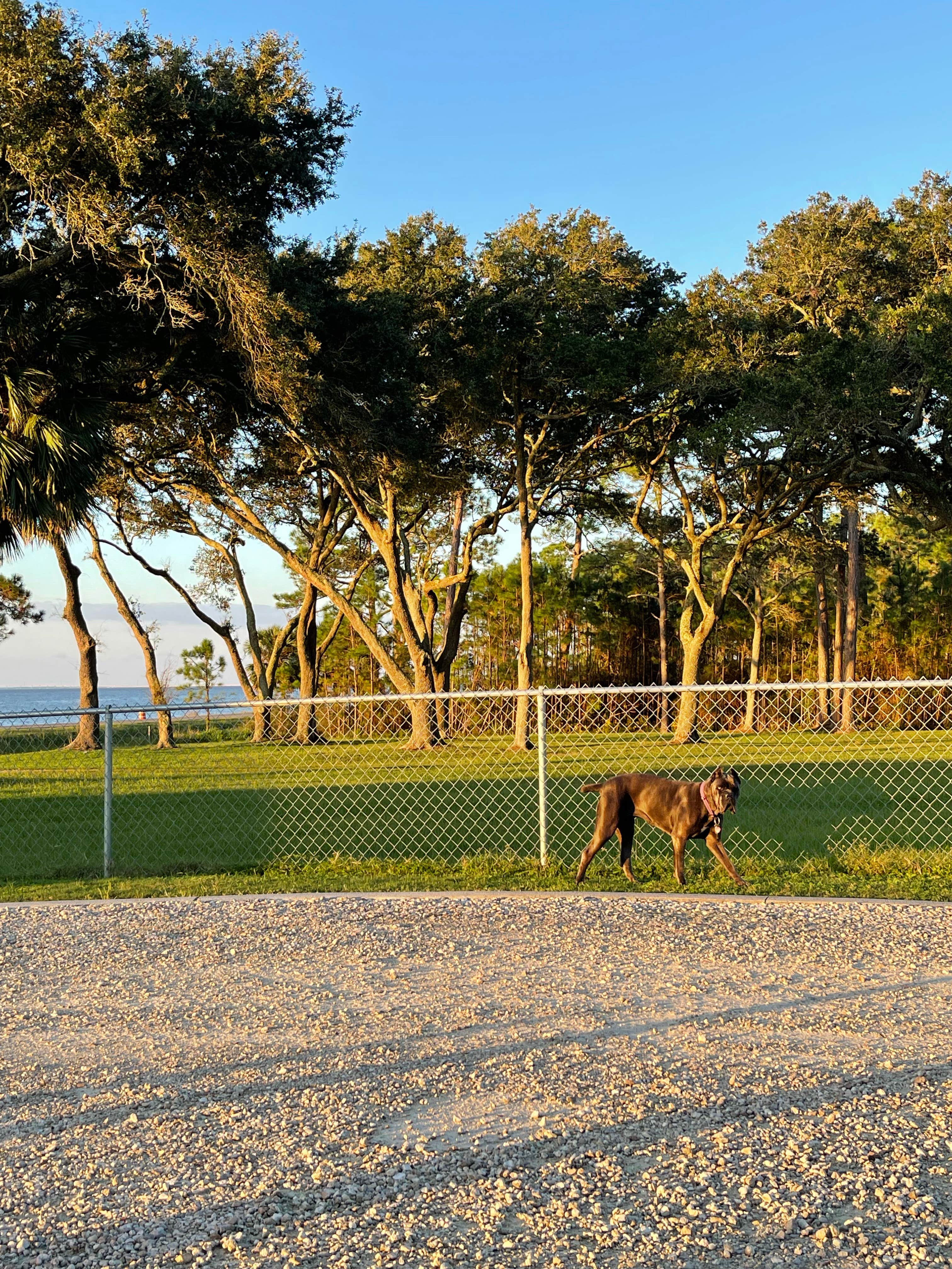 Camper-submitted photo at Gulf View Campground near Eastpoint, FL