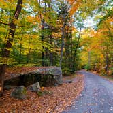 Review photo of Covered Bridge by Casey L., October 14, 2021