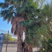 Review photo of Tucson - Lazydays KOA by Christy C., October 14, 2021