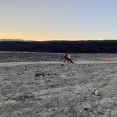 Review photo of Saline Valley Dispersed Camping by Kharis O., October 14, 2021