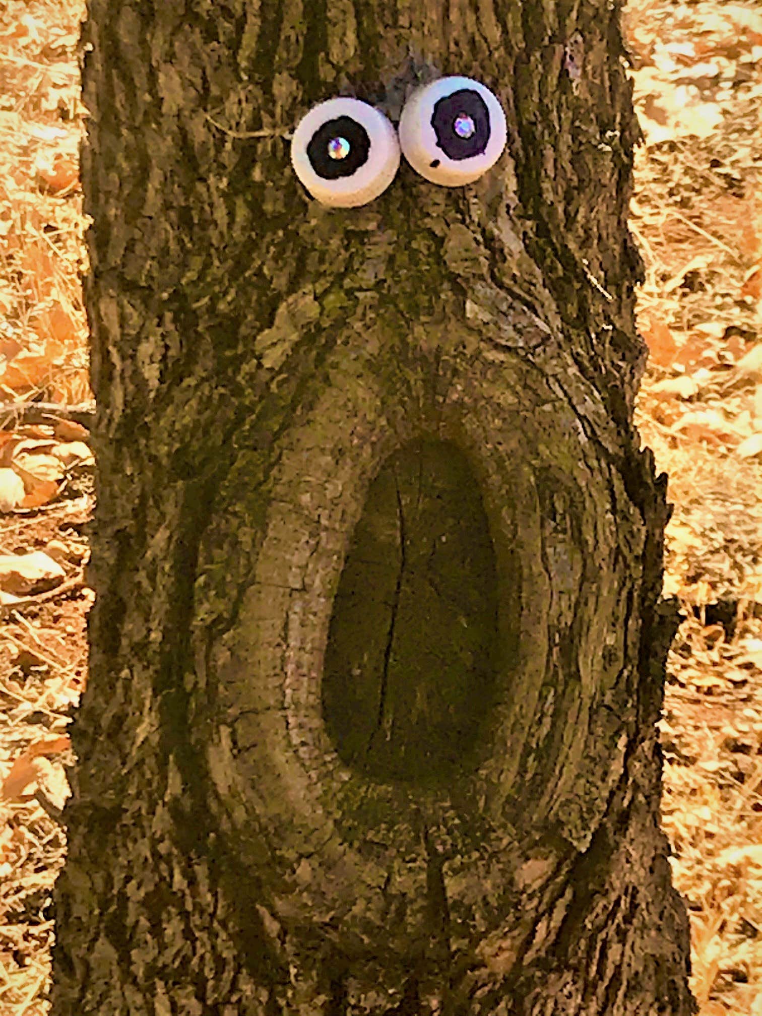 Camper-submitted photo at Lassen RV Park Campground near Lassen Volcanic National Park