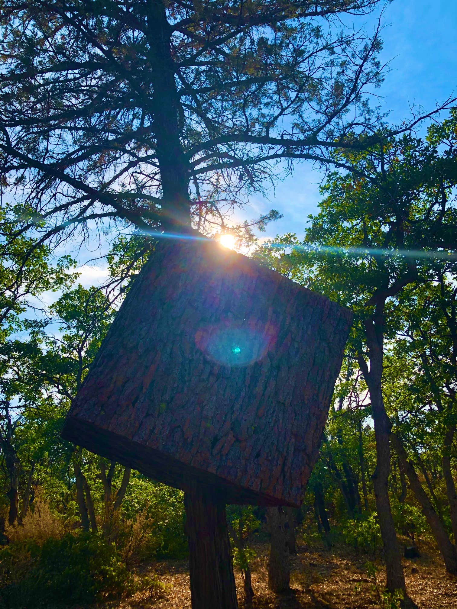 Camper-submitted photo at Lassen RV Park Campground near Lassen Volcanic National Park