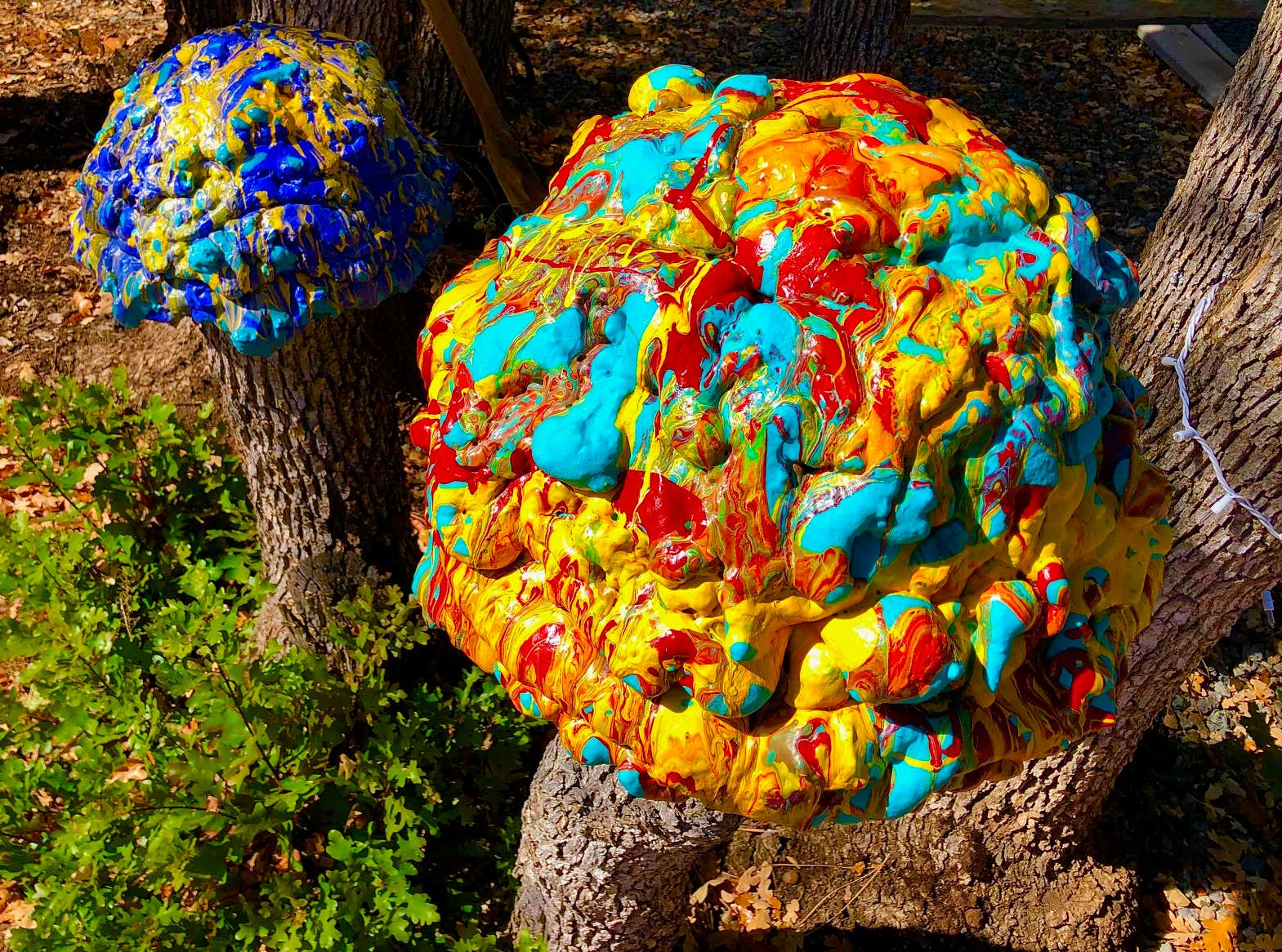 Camper-submitted photo at Lassen RV Park Campground near Lassen Volcanic National Park