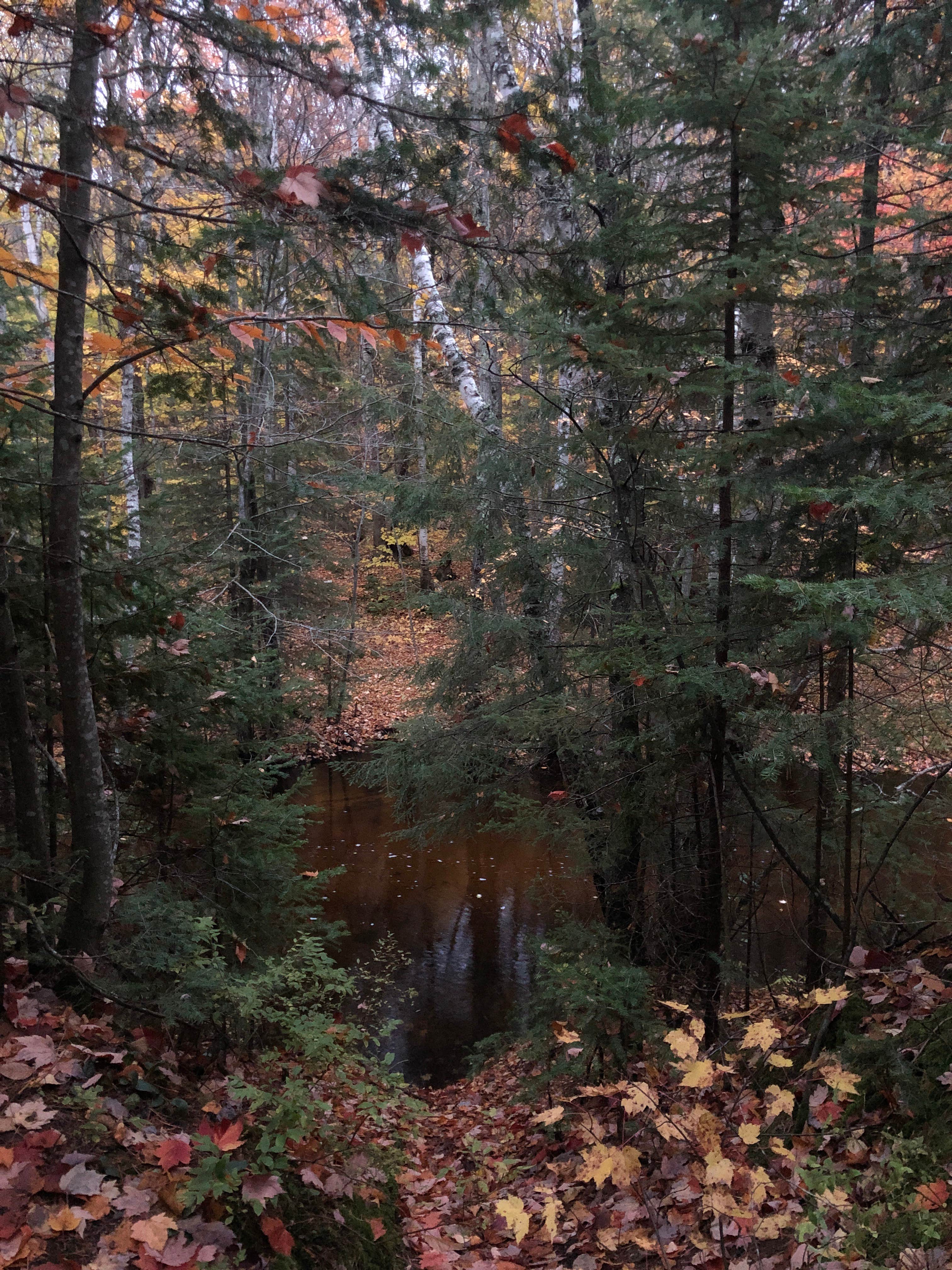 Camper-submitted photo at Chapel Beach Backcountry Campsites — Pictured Rocks National Lakeshore near Pictured Rocks National Park
