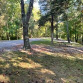 Review photo of Hamilton County Miami Whitewater Forest Campground by Kenneth M., October 14, 2021