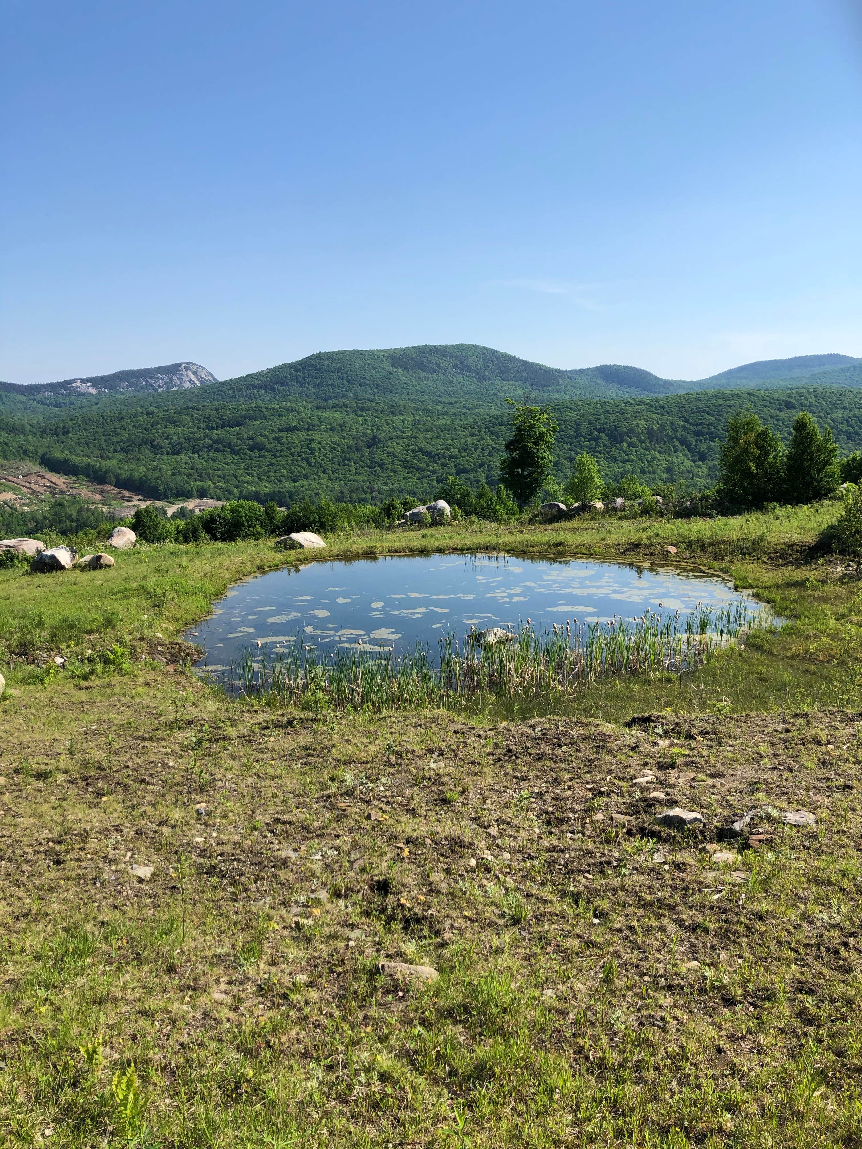 Camper-submitted photo at Green Mountain Views near Island Pond, VT