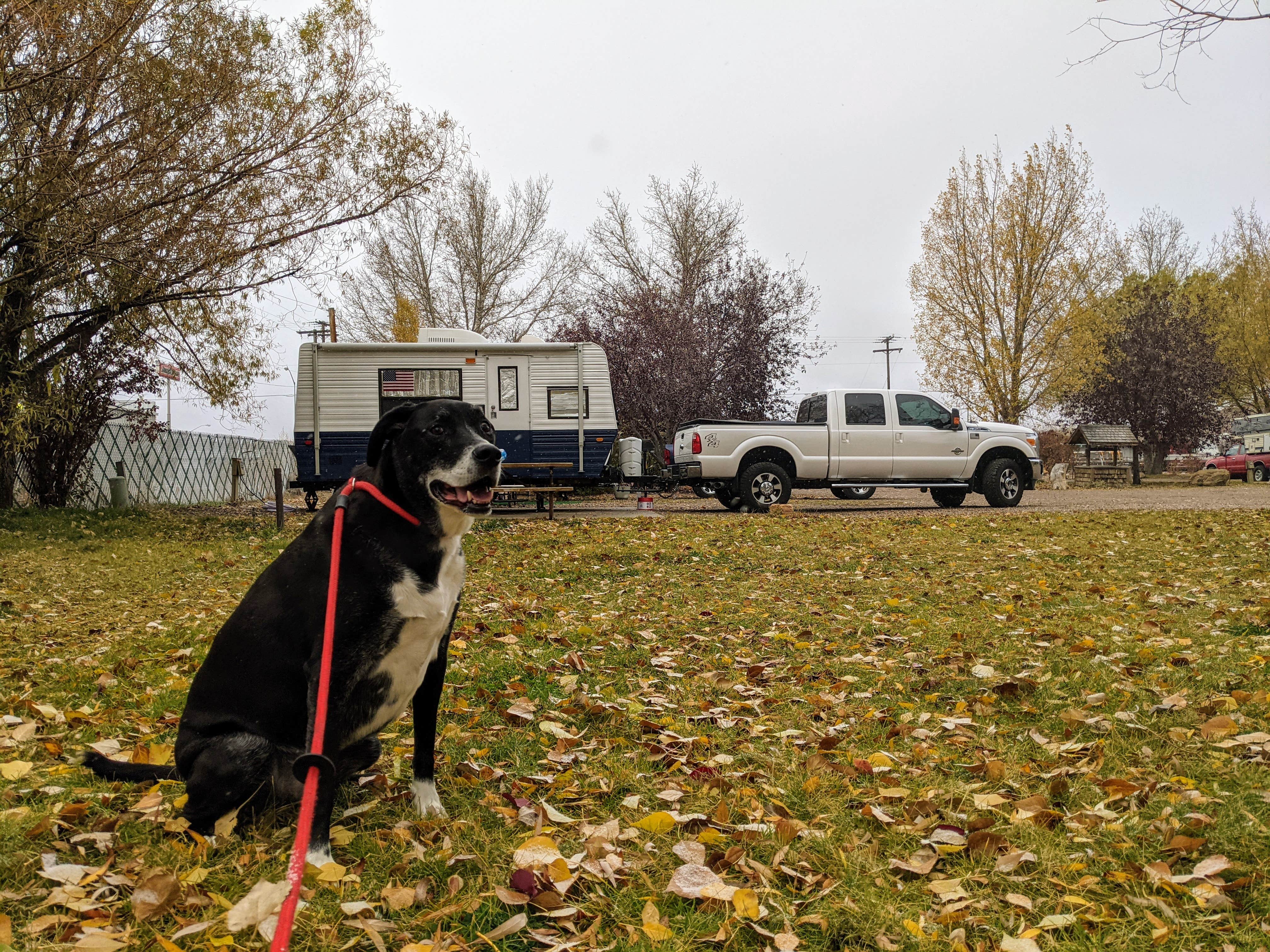 Camper-submitted photo at Phillips RV Park near Evanston, WY