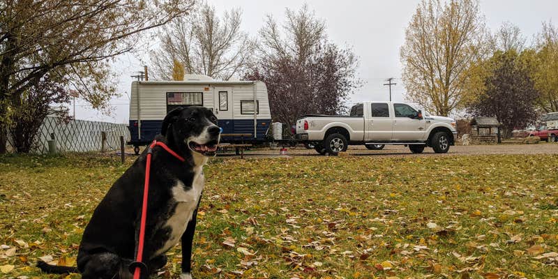 Camper submitted image from Phillips RV Park