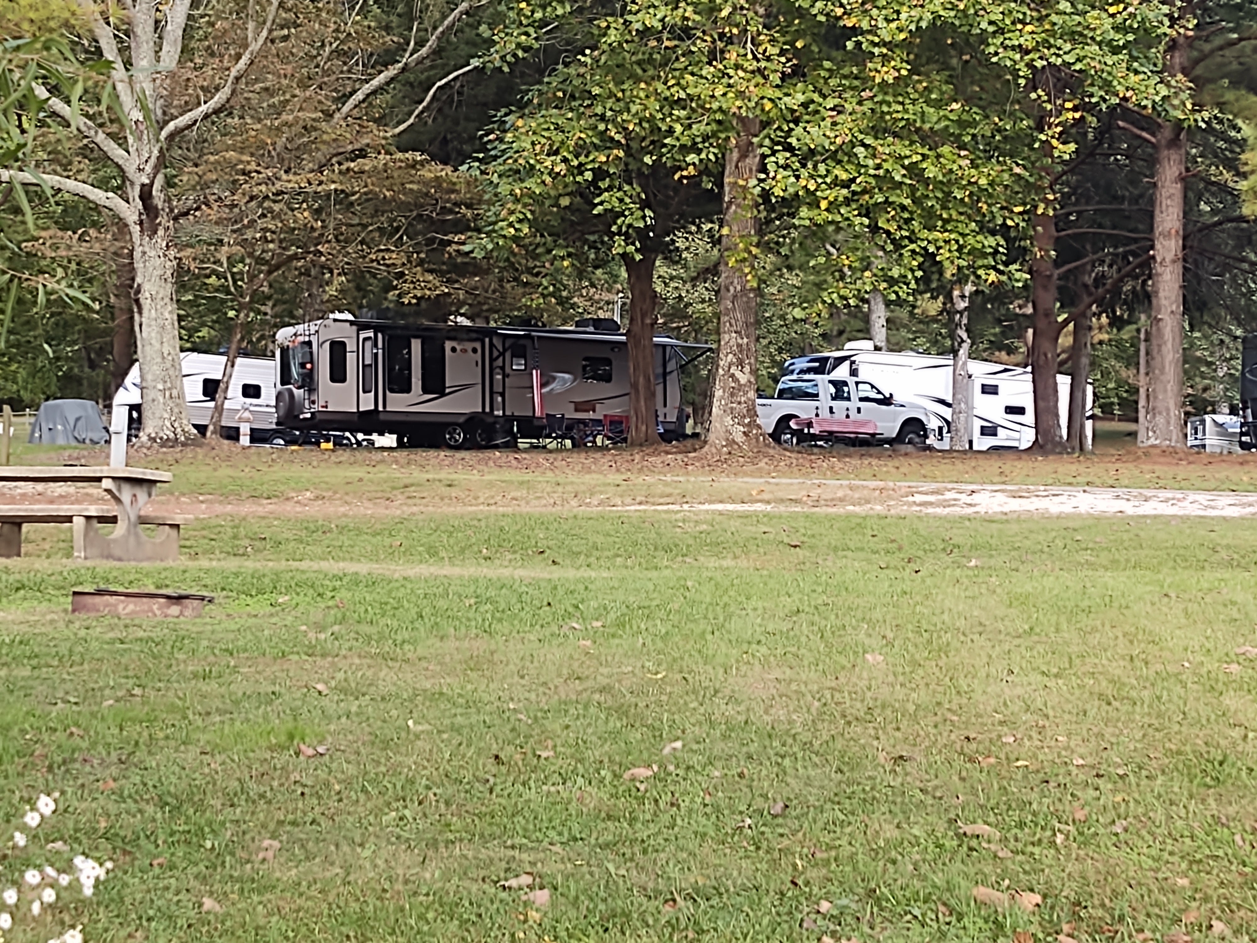 Camper submitted image from Cedar Point Campground - 4