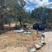 Review photo of Pinon Flats Campground — Great Sand Dunes National Park by Carol J., October 14, 2021