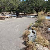 Review photo of Pinon Flats Campground — Great Sand Dunes National Park by Carol J., October 14, 2021