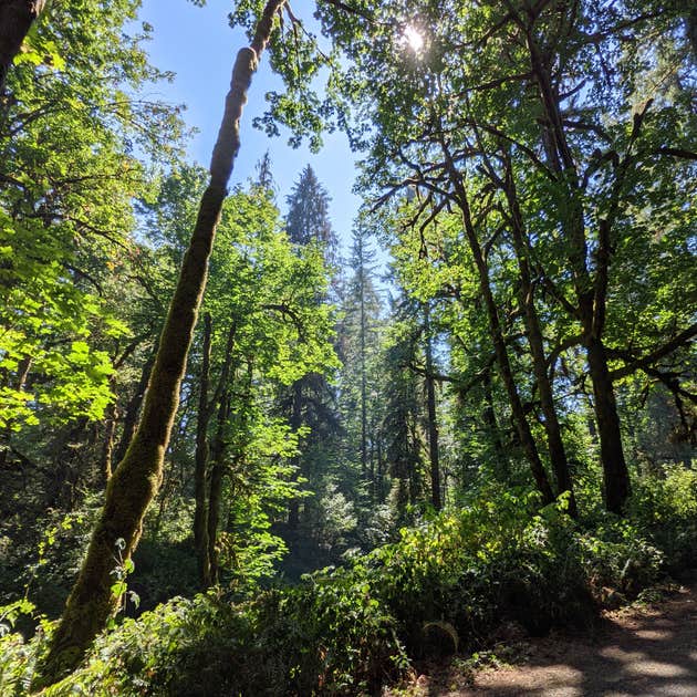 Cascadia State Park Campground Cascadia Or