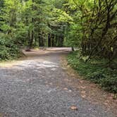 Review photo of Cascadia State Park Campground by Laura M., October 14, 2021