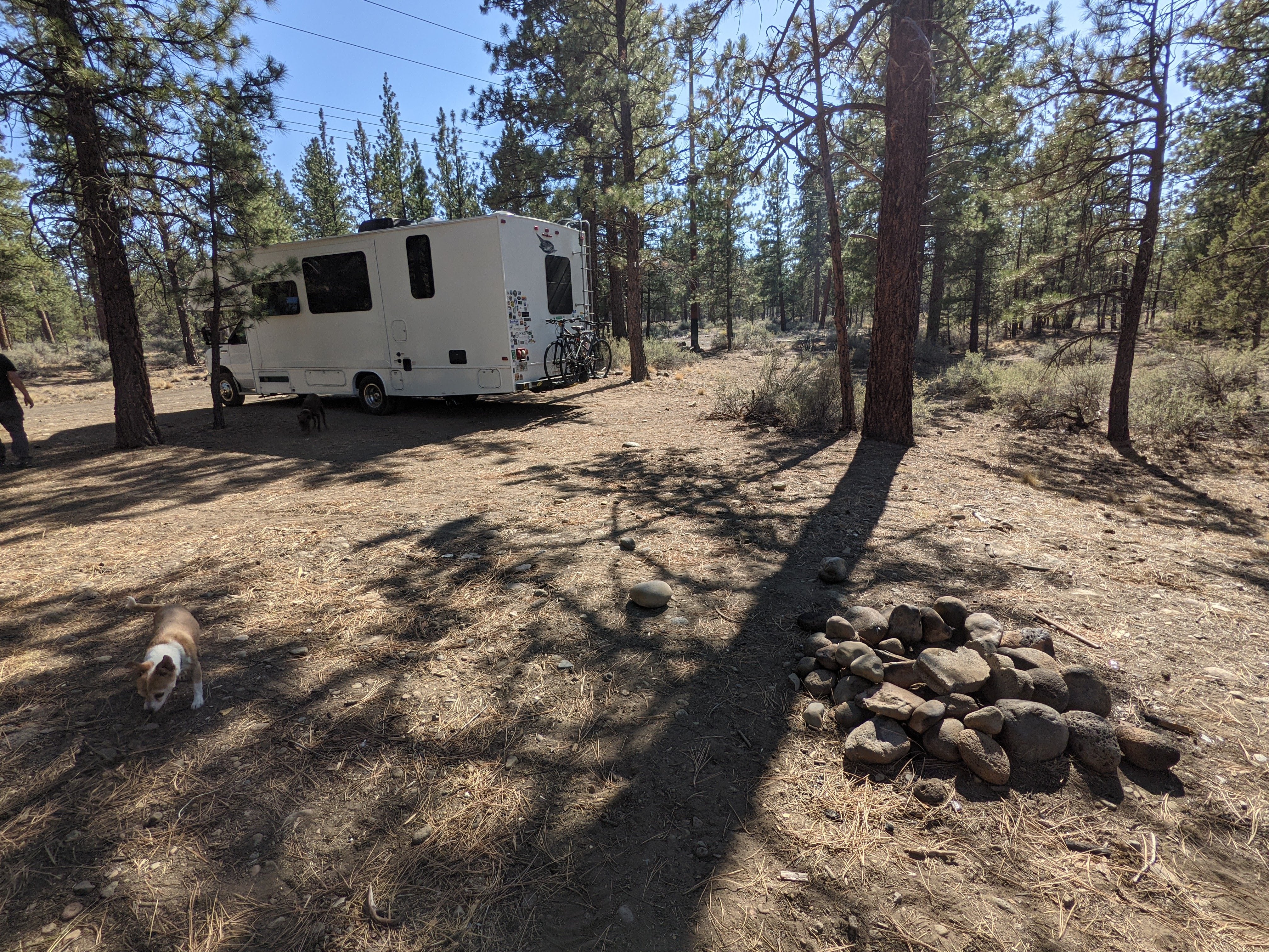 Camper submitted image from Sisters, Oregon - Dispersed Camping - 5