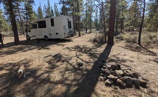 Laura M.'s photo at Sisters, Oregon - Dispersed Camping near Sisters, OR