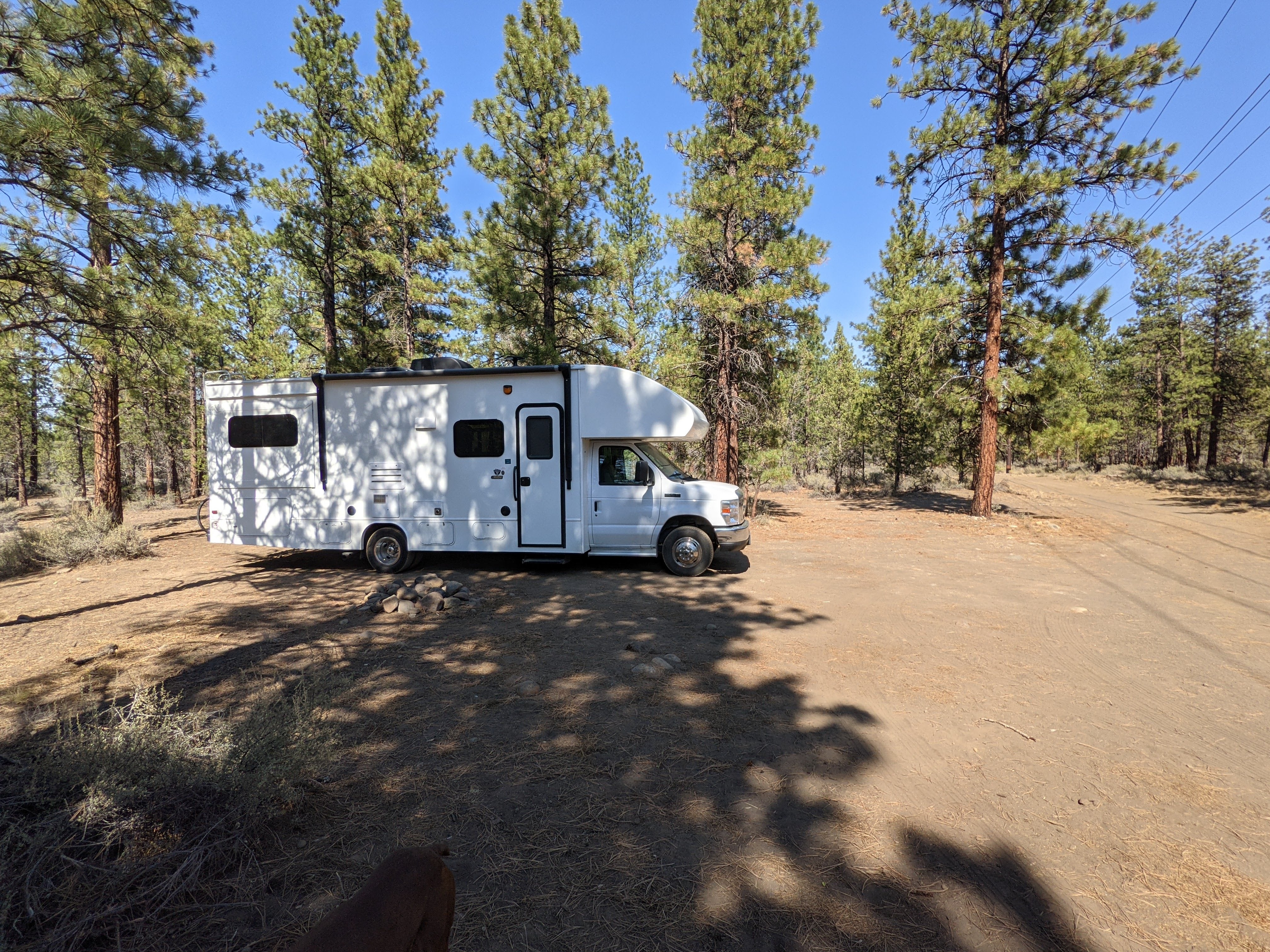 Camper submitted image from Sisters, Oregon - Dispersed Camping - 3